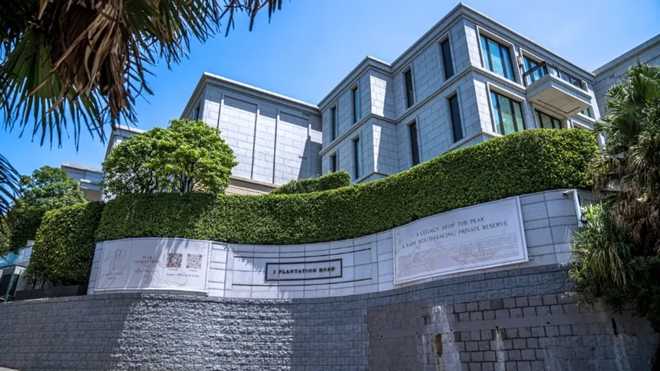 山頂種植道住宅項目公開照片
